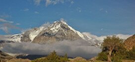 Rupal Valley