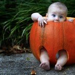 POTD_baby_pumpkin_2713499k