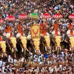 Elephant Festival