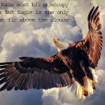 American Bald Eagle Flying in Cloudy Sky